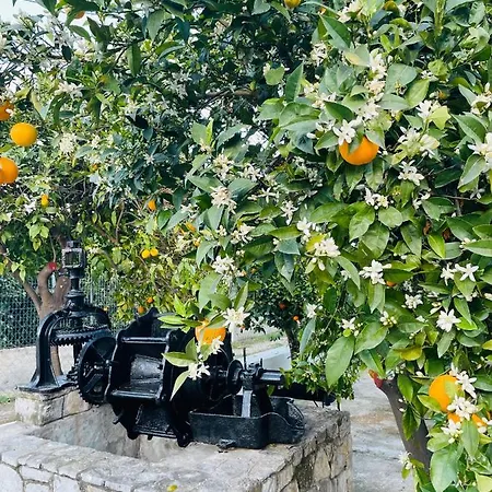 Citrus Garden Villa *