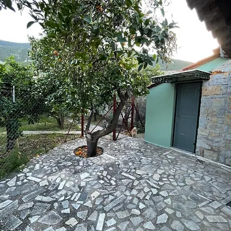 Citrus Garden Villa *