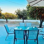 Citrus Garden