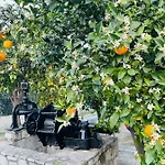 Citrus Garden Villa *
