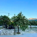 Citrus Garden *