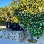 别墅 Citrus Garden Epidaurus
