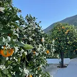 Citrus Garden Villa