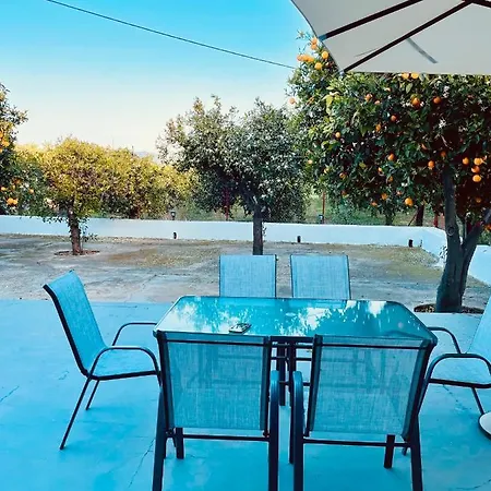 Citrus Garden