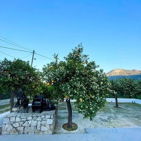 Citrus Garden *