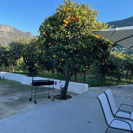 Villa Citrus Garden