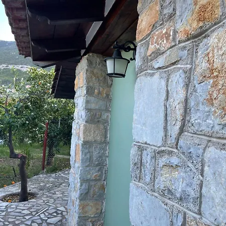 Villa Citrus Garden *