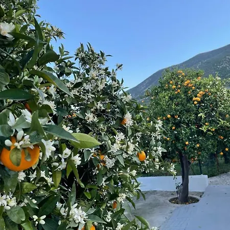 Citrus Garden Villa