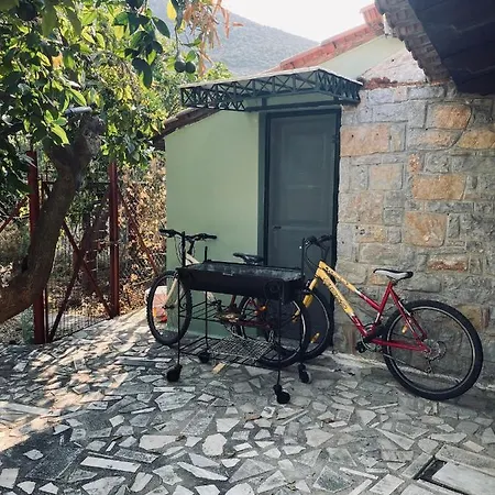 Citrus Garden Villa