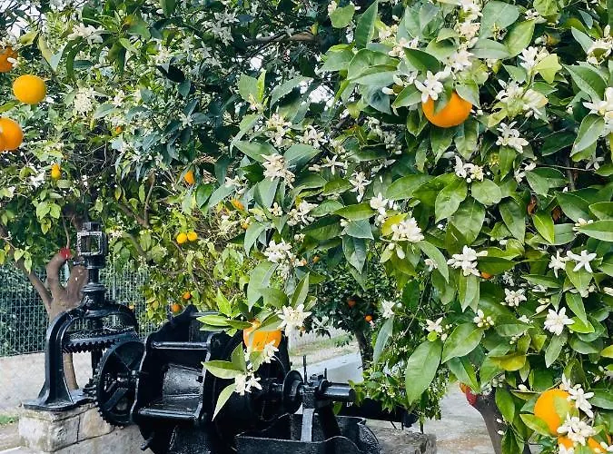 Citrus Garden Villa *