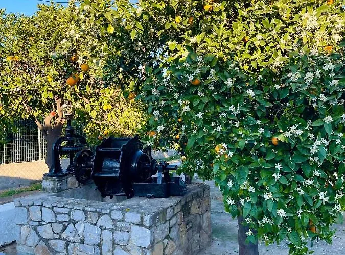Вилла Citrus Garden Epidaurus