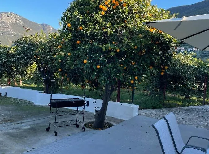 Вилла Citrus Garden