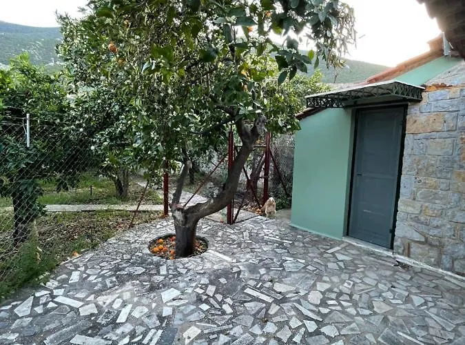 Citrus Garden Вилла *