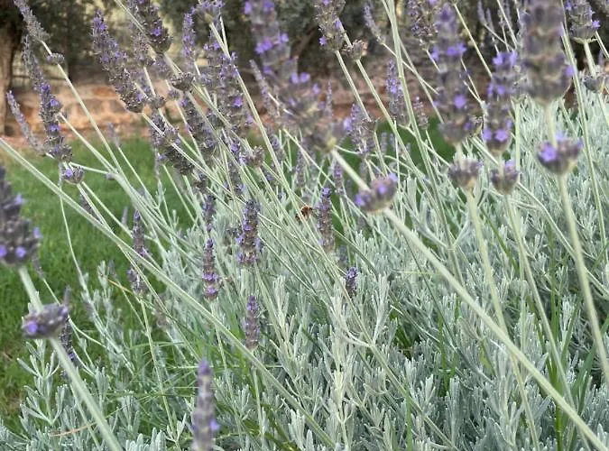 Вилла Citrus Garden Epidaurus
